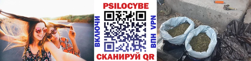 Купить закладки  Ленинск-Кузнецкий  Галлюциногенные грибы Magic Shrooms 
