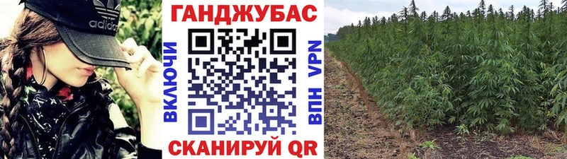 Бошки марихуана Bruce Banner  Купить где  Ленинск-Кузнецкий 